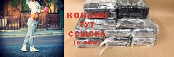 индика Алексеевка