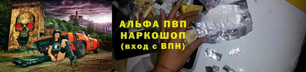 винт Пересвет