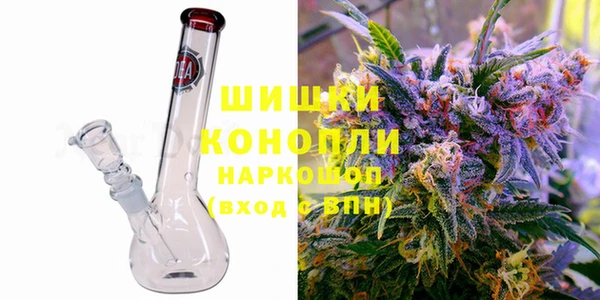 индика Переславль-Залесский
