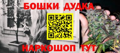 спиды Обь