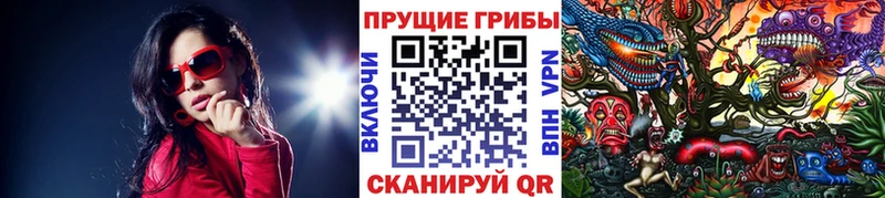 Псилоцибиновые грибы Cubensis  хочу наркоту  Шадринск 