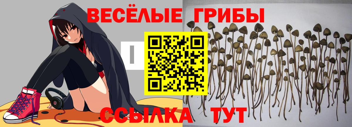 Галлюциногенные грибы мицелий Шадринск